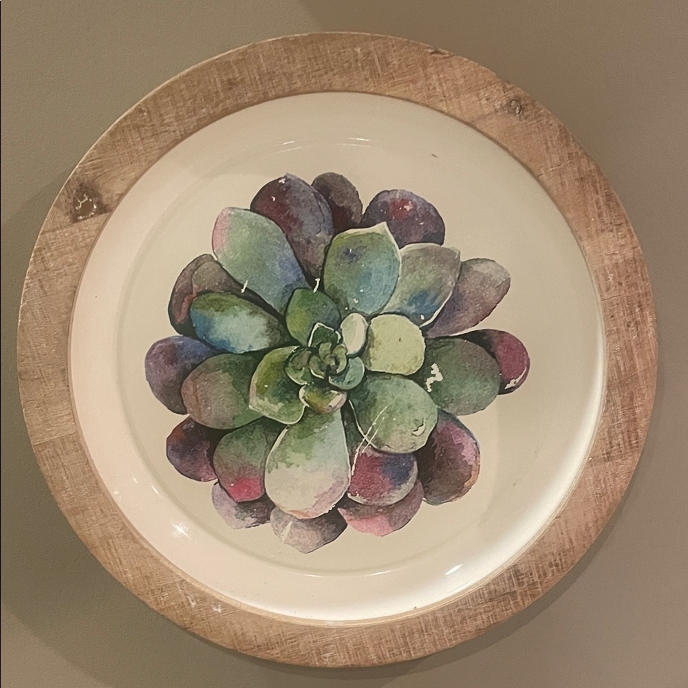 Rustic Wooden Frame with Succulent Art or serving tray
